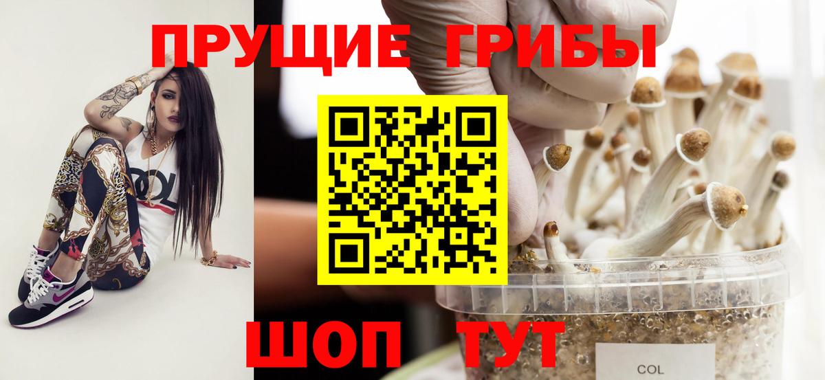 Галлюциногенные грибы GOLDEN TEACHER Великий Новгород