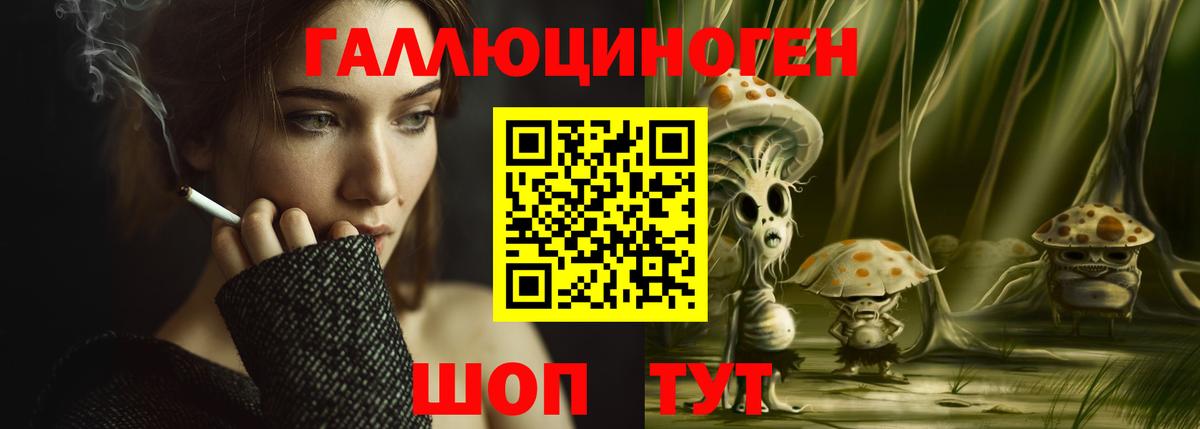 Галлюциногенные грибы GOLDEN TEACHER  даркнет сайт  Вход с VPN  Великий Новгород  Псилоцибиновые грибы MAGIC MUSHROOMS 